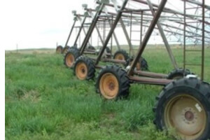 Dealer Image